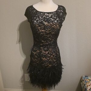 New Elegant Black Lace Mini Dress with Feathered Skirt